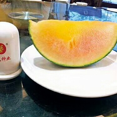 菏泽彩虹西瓜 2斤打底 9成熟 1茬