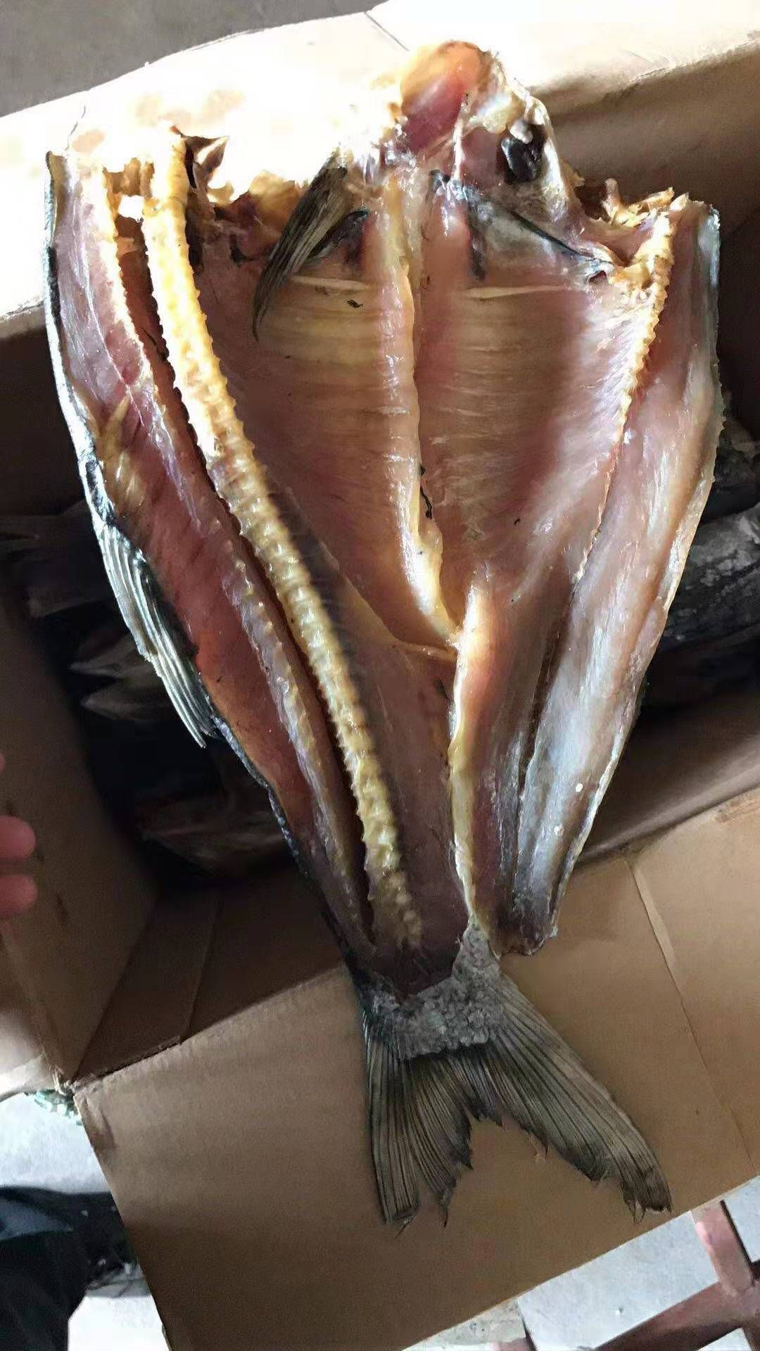 鲤鱼干 锂鱼干白链干去头咸干