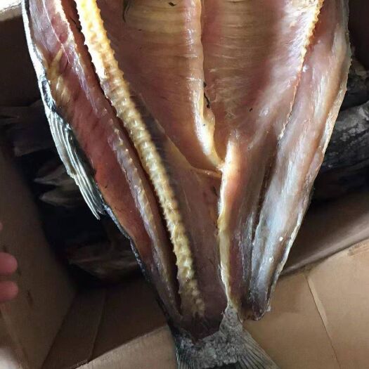 鄱阳县鲤鱼干 锂鱼干白链干去头咸干