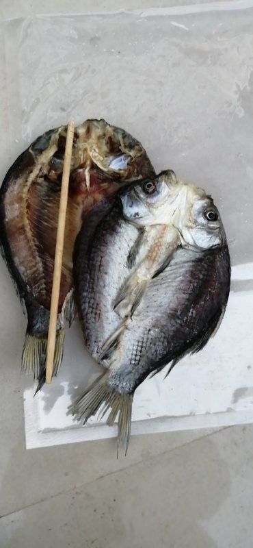 常德钢鳅干 特色水产供应