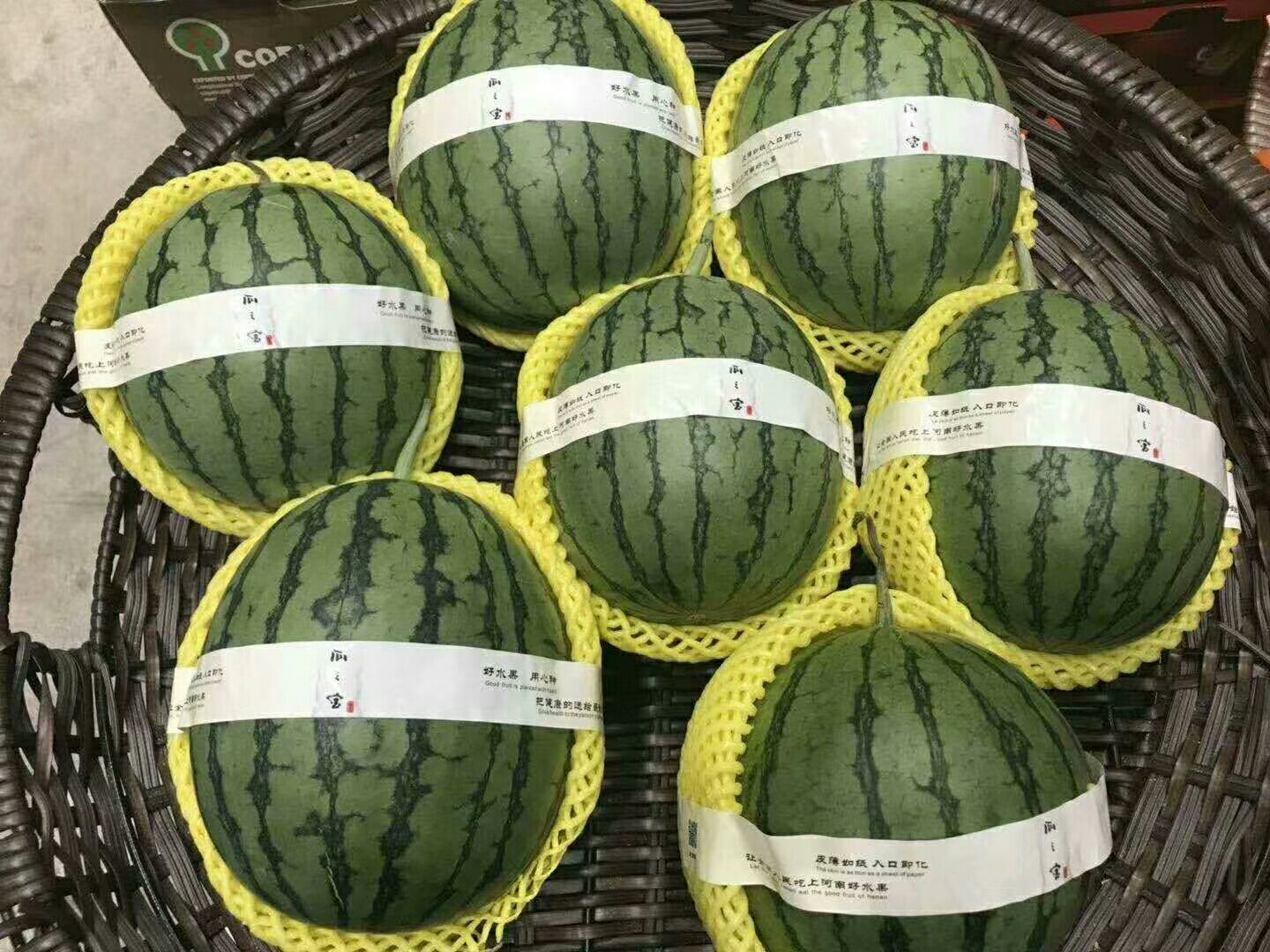 彩虹西瓜 2斤打底 9成熟 1茬