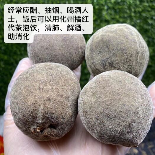 湛江 化橘红