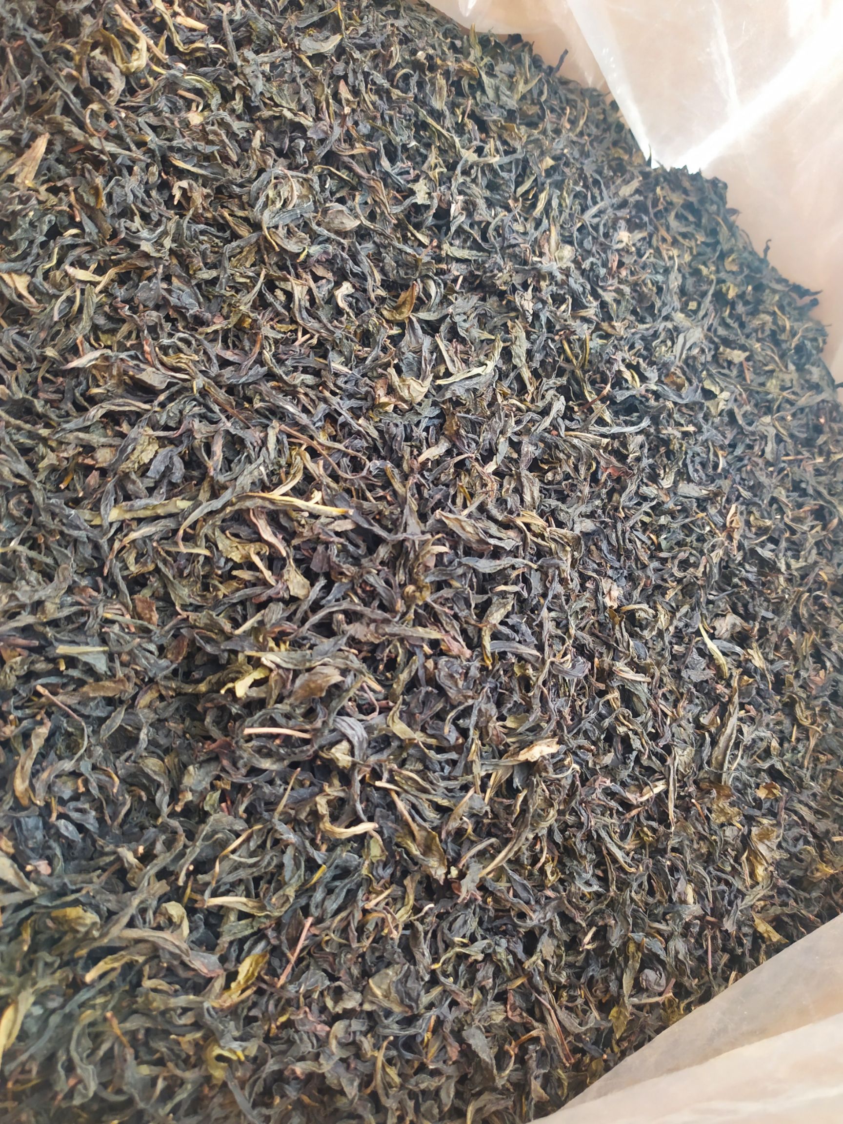 黄枝香单枞茶潮州凤凰单枞茶乌叶单丛茶清香黄枝香茶叶一斤一袋