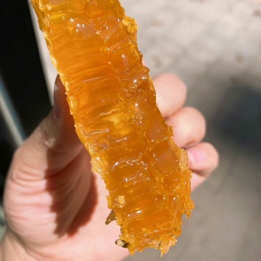 鲁甸县 土蜂蜜   云南深山野蜂蜜