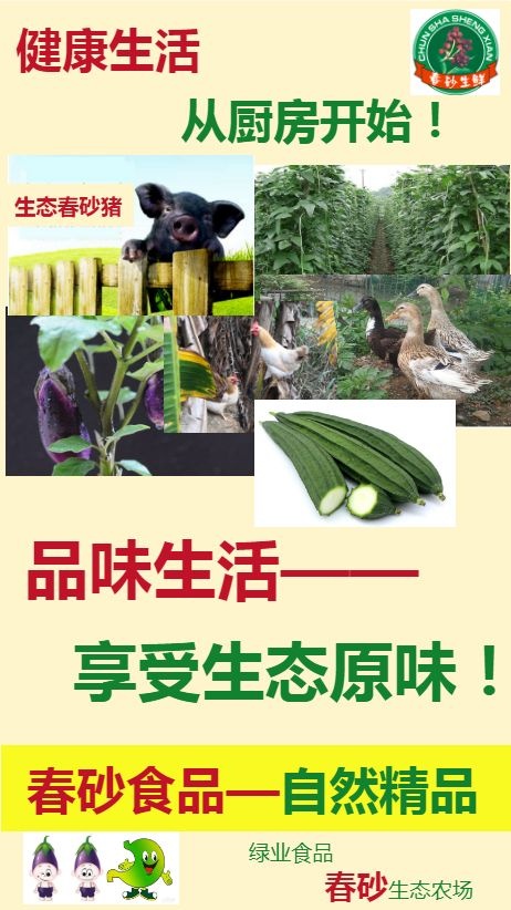 阳春市棱丝瓜 长年供应春砂生态蔬果