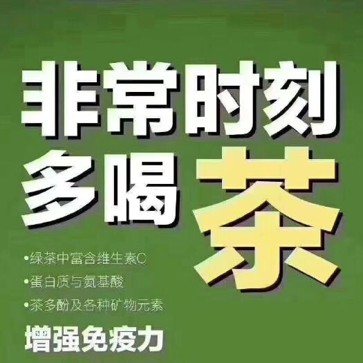 孝昌县凤凰春剑 湖北省孝昌县陈庙大山泉！天然无公害有机茶！大量销售！
