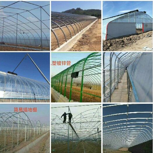 天津种植棚 养殖棚 连栋棚 大棚设备 大棚配件