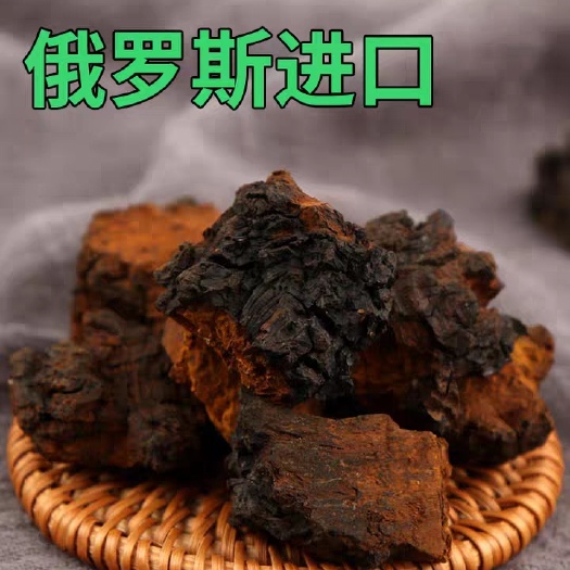 安国市中药材桦树茸  桦树茸，
