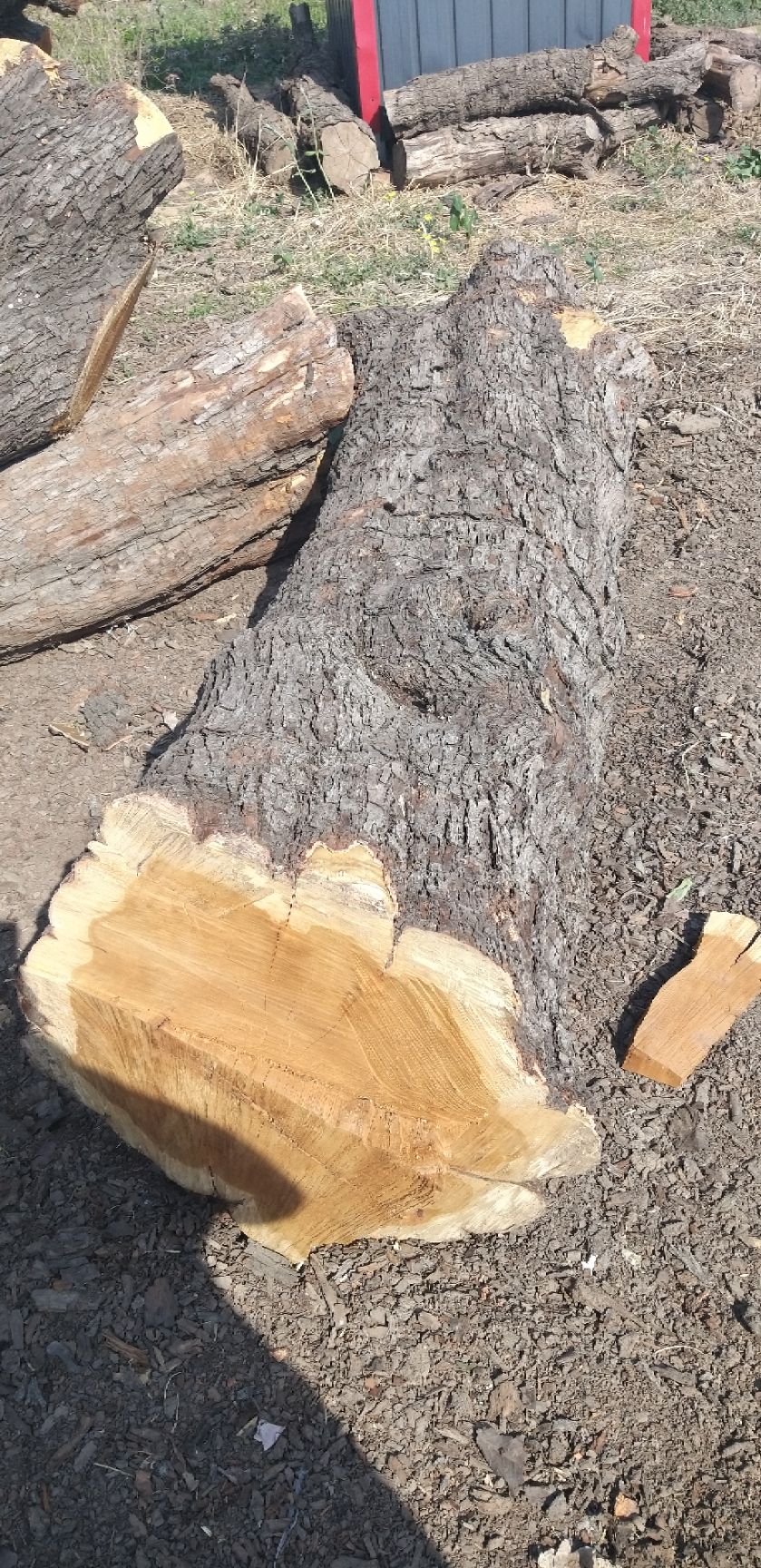  百年红心枣木雕刻枣木枣木墩用料枣木家具用料