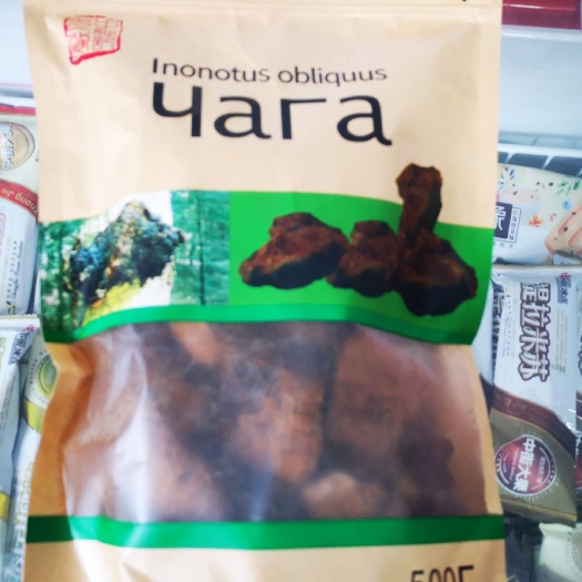 济南 俄罗斯桦树茸