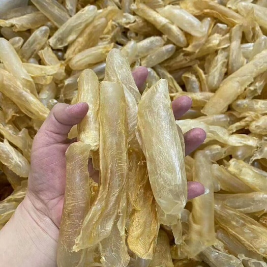 广州黄花胶 优惠黃花胶
一斤有100个