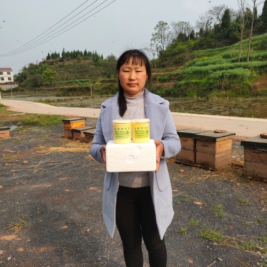 泸溪县 蜂农直销 蜂王浆纯正天然自产新鲜蜂皇浆500g蜂乳