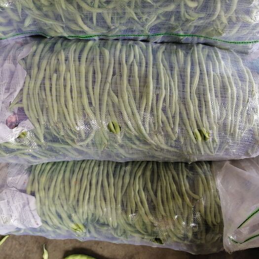 夹江县无筋豆角 大量无筋豆，肉豆上市中。现货
