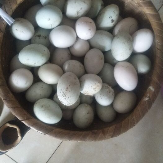 梓潼县 散养鸭蛋，粮食喂养