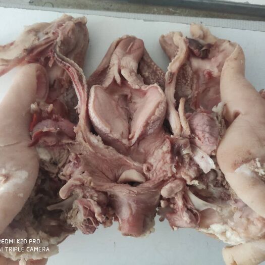 大厂县 剔骨羊头肉，质优价廉，量大从优