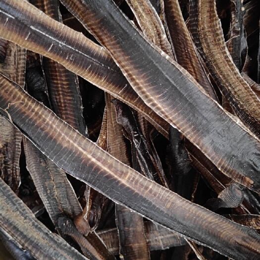 田东县 全开广地龙