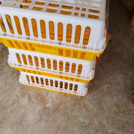 化州市鸡笼 供应鸡鸭笼
