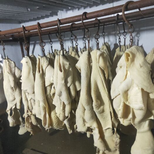 大厂县牛肚   国产全熟，食堂餐厅专用 高熟度 可直接食用饭店专用