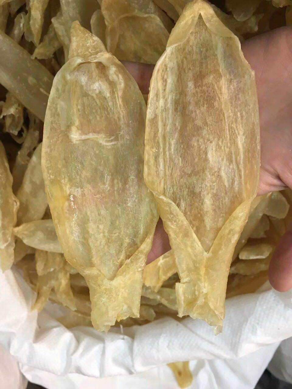 开边巴沙鱼胶25-30头清水厚肉一手货源