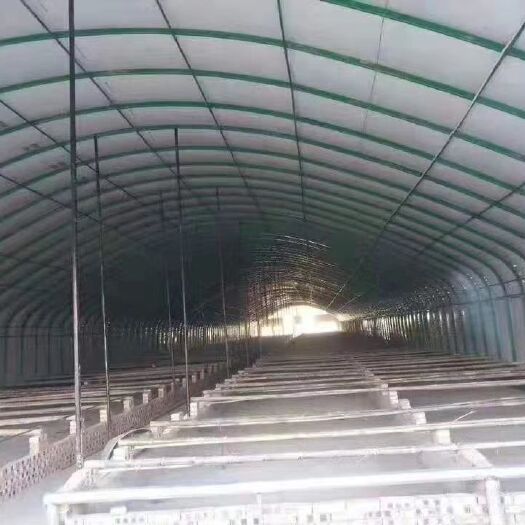 天津养殖大棚 种植大棚骨架和热镀锌钢管 规格齐全 质量保证 厂家直销量大优
