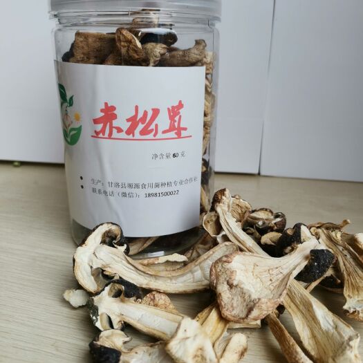 甘洛县 赤松茸，脆爽可口
