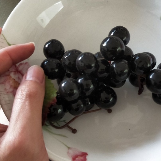 深圳黑加仑 新鲜黑加