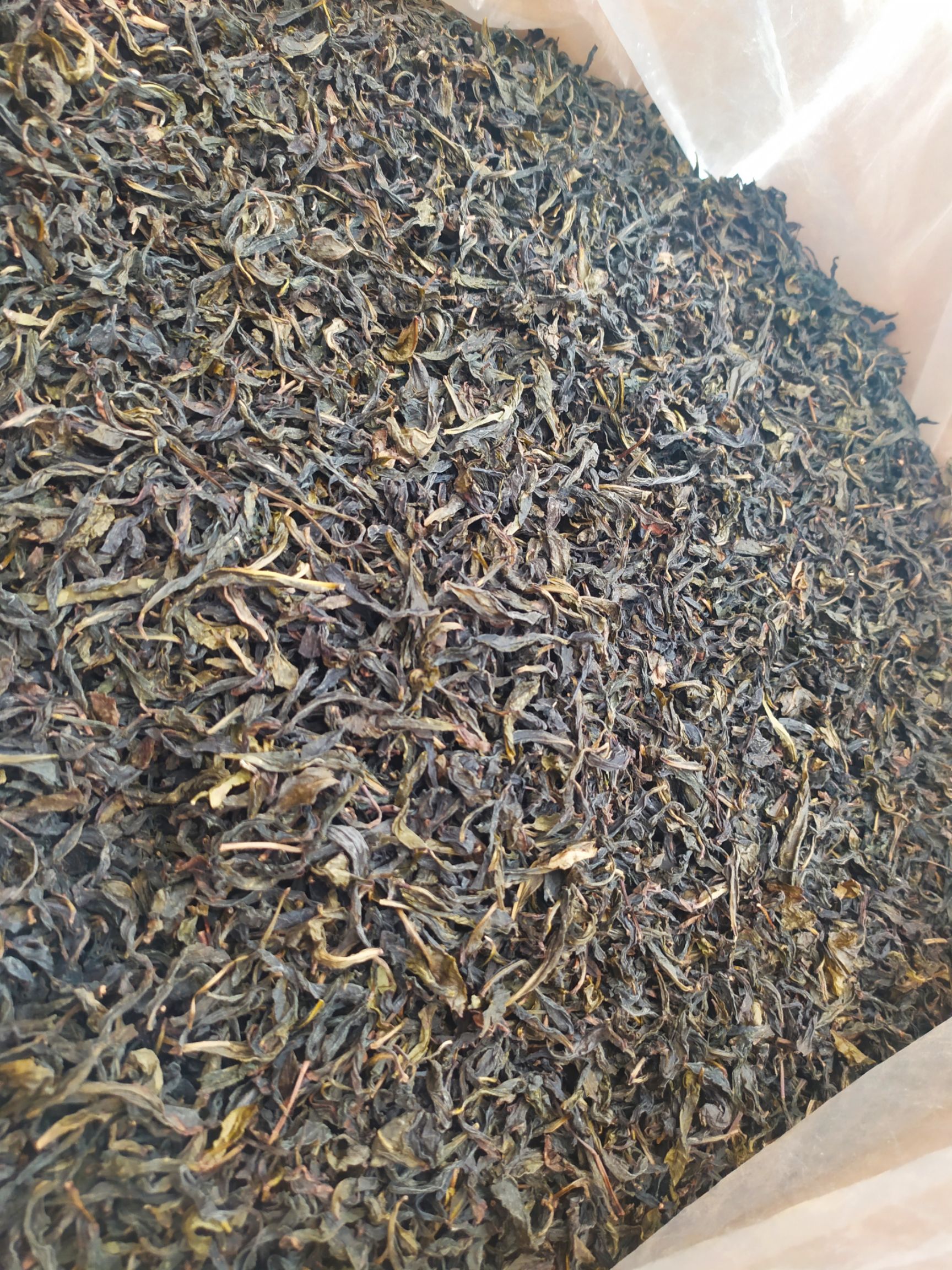 黄枝香单枞茶潮州凤凰单枞茶乌叶单丛茶清香黄枝香茶叶一斤一袋
