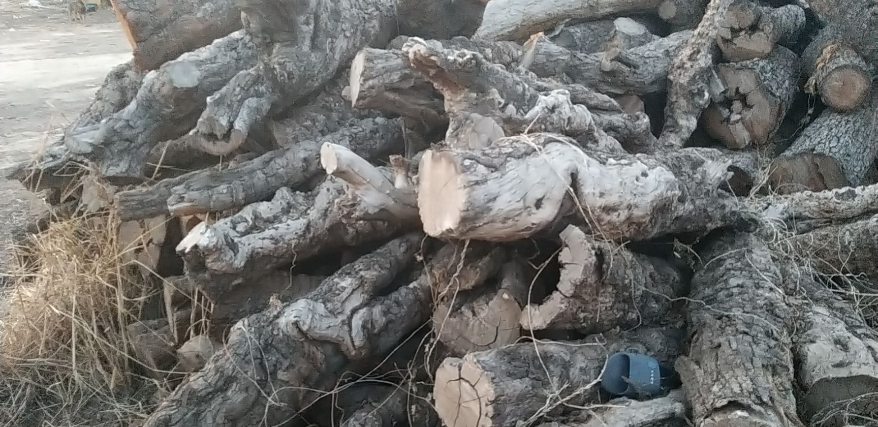  百年红心枣木雕刻枣木枣木墩用料枣木家具用料