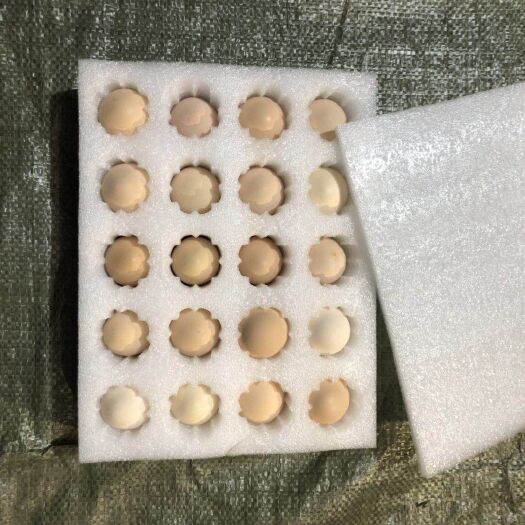 宁波珍珠棉蛋托  珍珠棉鸡蛋拖