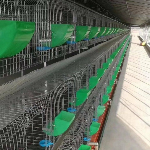 蠡县9位子母兔笼免清粪加粗加密塑料底板料盒水碗水管支架标配