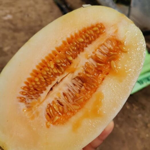 武汉 东方蜜一号甜瓜，天然种植，剂。