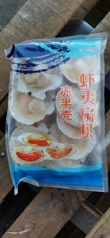 虾夷扇贝  冷冻扇贝 速冻 半壳夏邑贝 扇贝大规格 8公分到