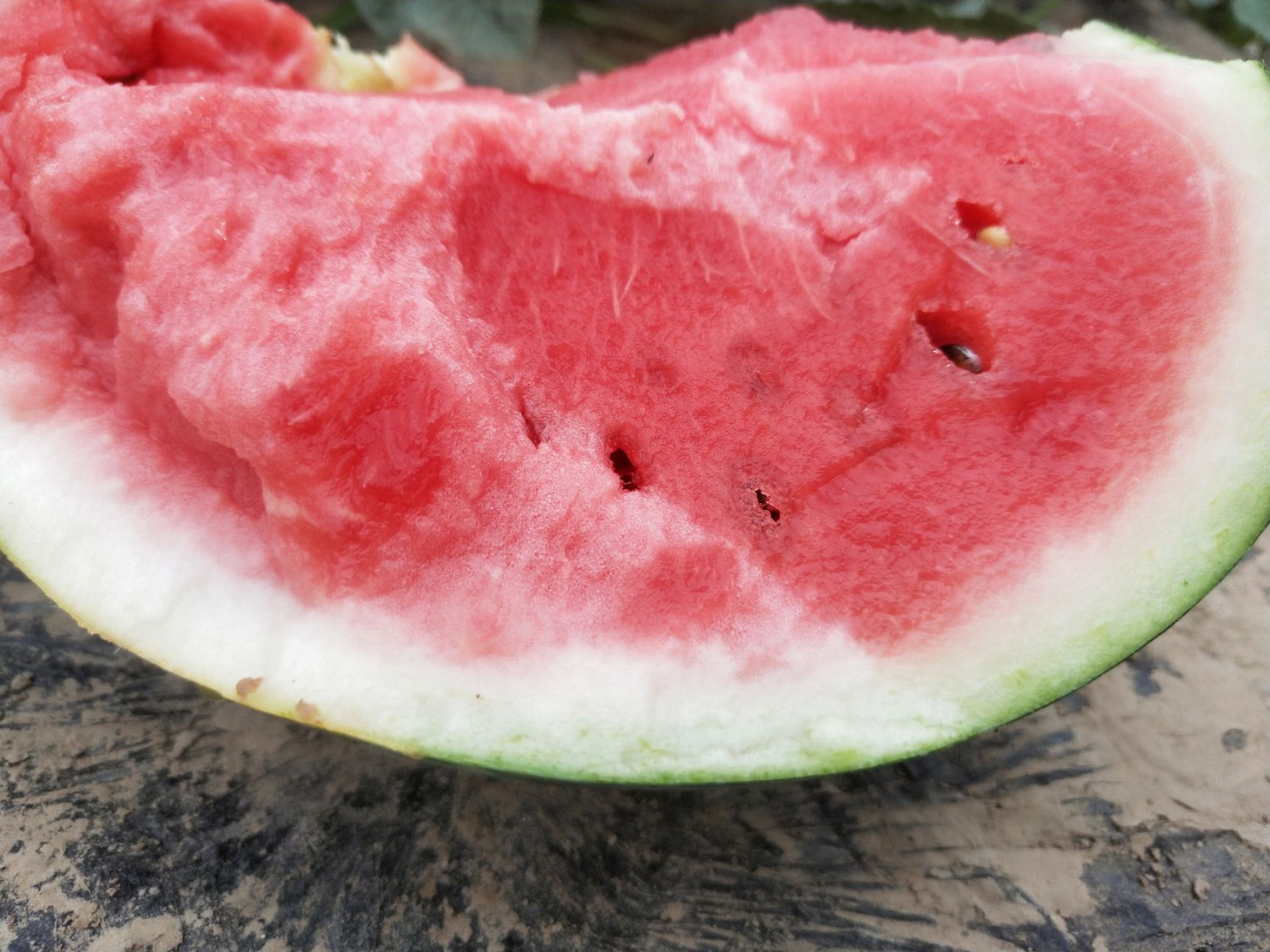 甜王西瓜 精品甜王