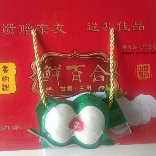 兰州 兰州百合农民专业合作社