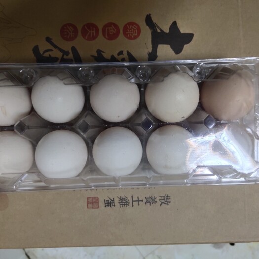 曹县 农家散养柴鸡蛋