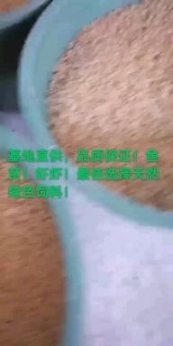 漳州虾饲料 高蛋白饲料冷冻蝇蛆虫