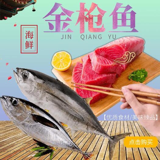 深圳 深海黄鳍金枪鱼