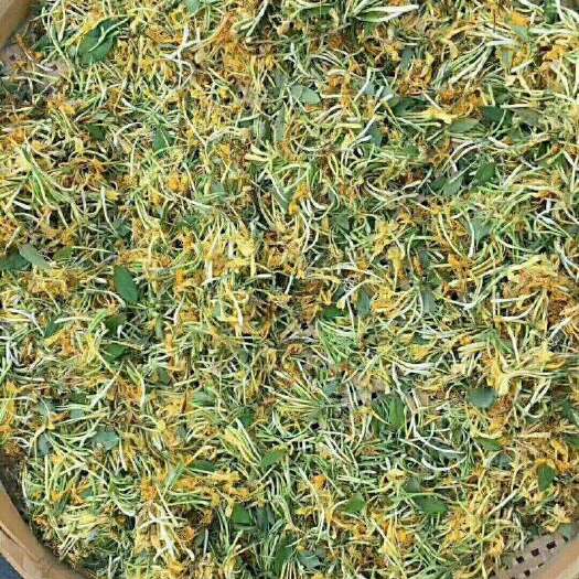 郧西县 大量供应湖北十堰大山金银花，纯手工，自然凉干，无任何加工