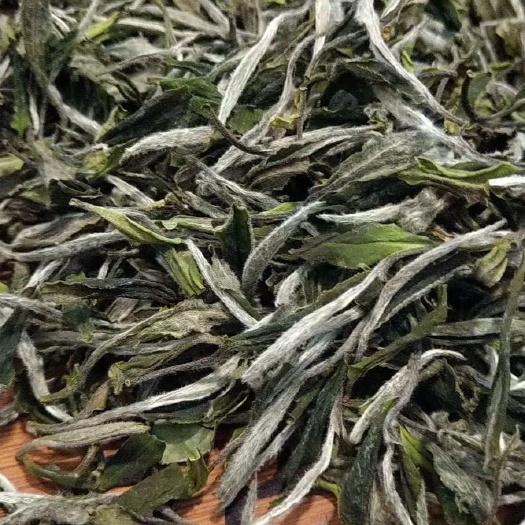 唐山 2020新茶花香牡丹，福鼎高山白茶