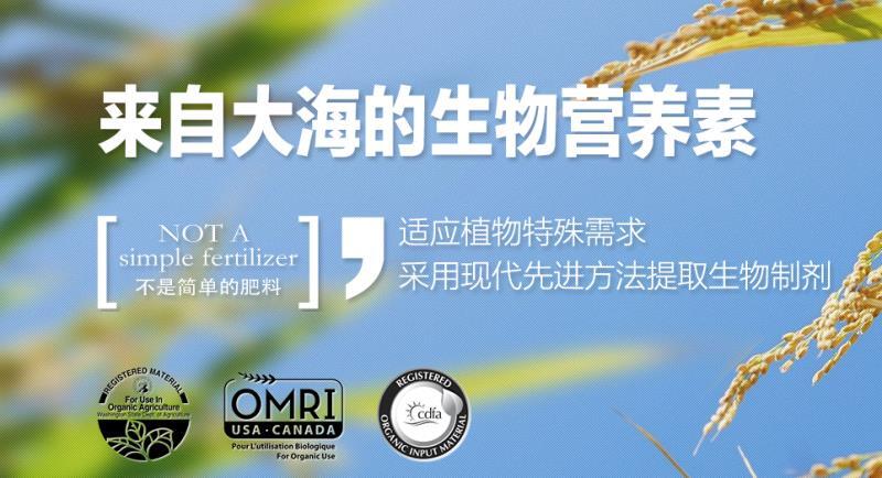 沂南县 有机肥