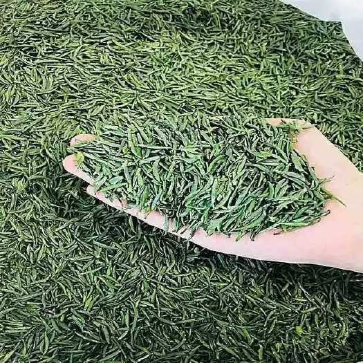 绿茶  2025汉中仙毫500克