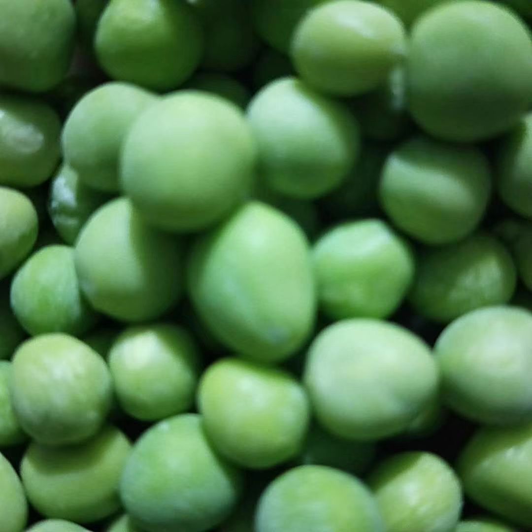 青豌豆 欢迎前来订购