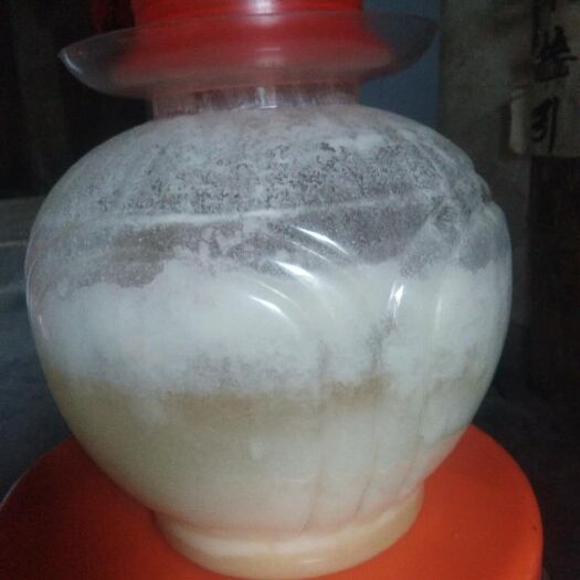 兴义市 土蜂蜜