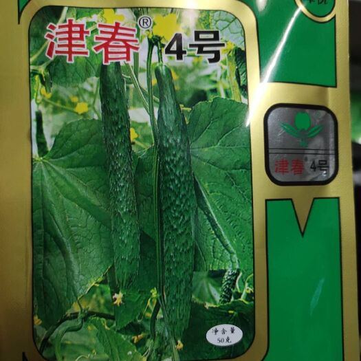 扶沟县黄瓜种子 津春4号 深绿色 亩3袋，刺密肉质脆，口感好