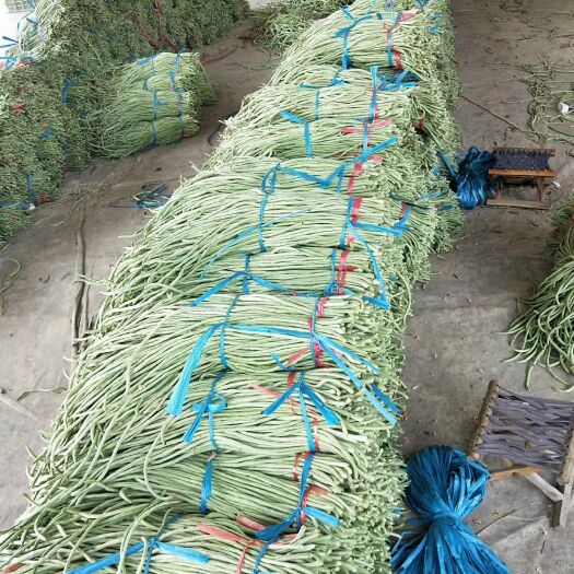莘县 一级长豆角大量上市