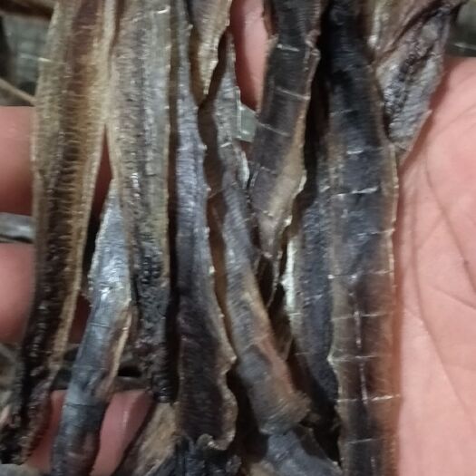 苏州 地龙干，有需要的可以联系我