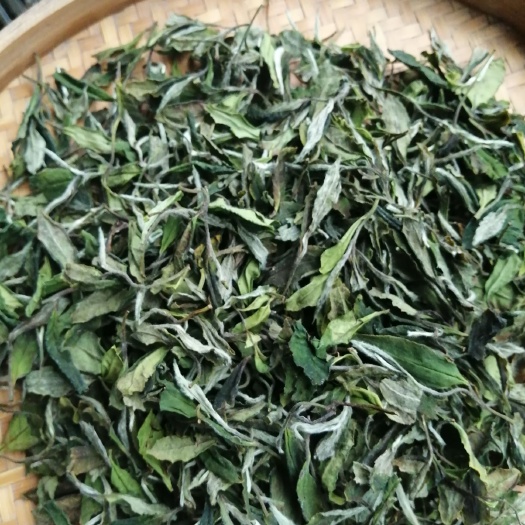 福鼎市 福鼎管阳天竹春贡眉白茶