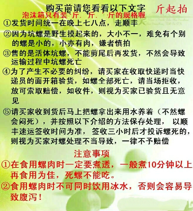 山坑螺 光滑靚麗 有炮頭螺 少量順豐快遞兩廣 水產(chǎn)車全國(guó)各地