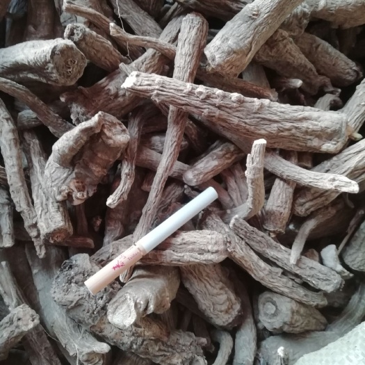 亳州 无硫白芷统货。过风车的
