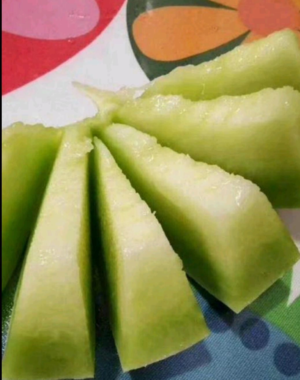 鲁厚甜一号 鲁厚甜大量现货